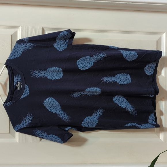 Hollister Crew Neck Tee Men's Short Sleeve Pineapple Novelty Print Tee Size Med. - Picture 1 of 4
